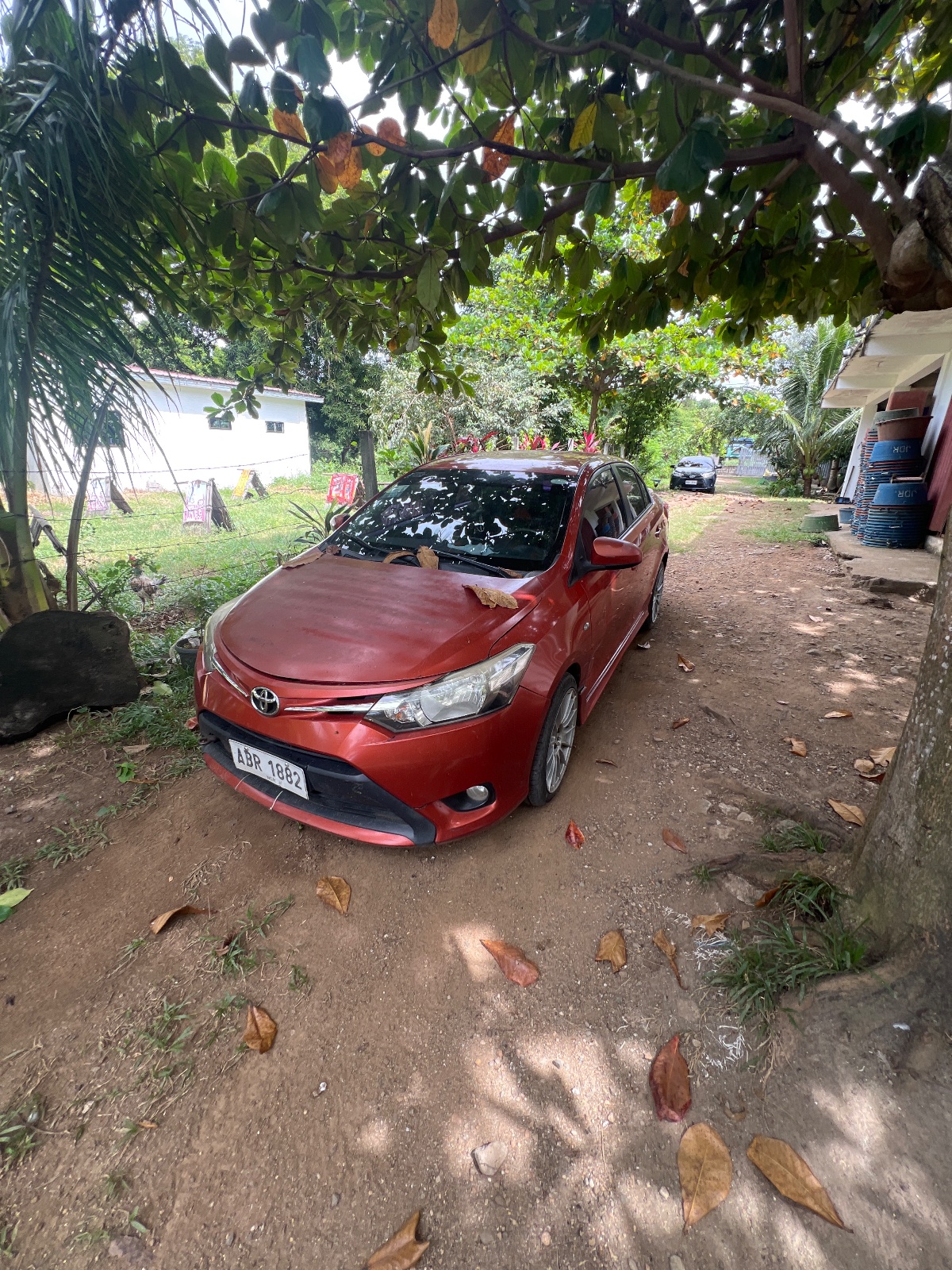 Toyota Vios